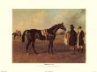 Touchstone (Race Horse) by John Frederick Herring I Limited Edition Print