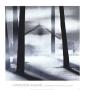 Landscape No. 195 by Hamilton Aguiar Limited Edition Print