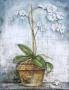 Orchid On Blue by Tina Chaden Limited Edition Print