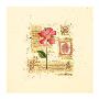 Flower Notes With Pink Poppy by Audra Chaitram Limited Edition Print