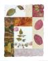 Farewell My Summer Love Ii by Sonia Delaunay-Terk Limited Edition Print