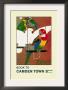 The London Zoo: Exotic Birds by S.T.C. Weeks Limited Edition Print