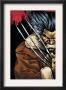 Weapon X: Days Of Future Now #1 Cover: Wolverine by Bart Sears Limited Edition Pricing Art Print