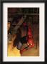 Marvel Adventures Spider-Man #41 Cover: Spider-Man by Sean Murphy Limited Edition Print