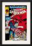 Amazing Spider-Man #325 Cover: Spider-Man And Red Skull by Todd Mcfarlane Limited Edition Print