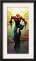 Ultimate Spider-Man #72 Cover: Spider-Man by Mark Bagley Limited Edition Pricing Art Print