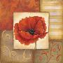 Orange Poppy I by Kim Lewis Limited Edition Pricing Art Print