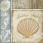 Scallop Shell by Jennifer Pugh Limited Edition Pricing Art Print