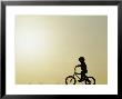 Silhouette Of Boy Riding A Bicycle by Fred Luhman Limited Edition Print