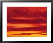 Clouds At Sunset by Ted Wilcox Limited Edition Pricing Art Print