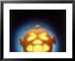 Jack-O'-Lantern by Doug Mazell Limited Edition Pricing Art Print