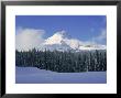 Mt. Hood, Oregon Cascades by Charlie Borland Limited Edition Pricing Art Print