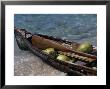 Coconuts In Canoe, Pequeno, Garifum, Cochino by Timothy O'keefe Limited Edition Print