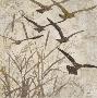 Birds In Flight I by Melissa Pluch Limited Edition Print