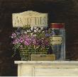 Jarden De Antiquites by Angela Staehling Limited Edition Pricing Art Print