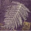 Lavender Fern by Booker Morey Limited Edition Pricing Art Print