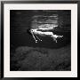Weeki Wachee Spring, Florida by Toni Frissell Limited Edition Pricing Art Print