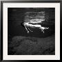 Weeki Wachee Spring, Florida by Toni Frissell Limited Edition Print