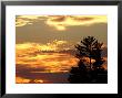 Sunset, Lake Of The Woods, Ontario, Canada by Keith Levit Limited Edition Pricing Art Print