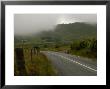 Ireland, Rural Area With Lamb At Roadside by Keith Levit Limited Edition Print