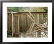 Wooden Decking With Chairs After Rain by Fiona Mcleod Limited Edition Print