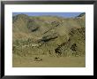 Desert-Dwelling Elephant, Mother And Calf In Desert, Hoanib River Valley by Martyn Colbeck Limited Edition Print