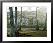 Maya Archaeological Site, Yucatan Peninsula, Mexico by Patricio Robles Gil Limited Edition Print