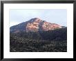 Chihuahuan Desert, Mexico by Patricio Robles Gil Limited Edition Print