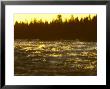 River And Rapids At Dusk, Northeast Finland by Philippe Henry Limited Edition Print
