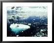 Icebergs, Antarctic Peninsula by Rick Price Limited Edition Pricing Art Print