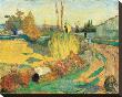 Paysage A Arles, 1888 by Paul Gauguin Limited Edition Print