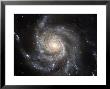 Spiral Galaxy Messier 101 (M101) by Stocktrek Images Limited Edition Pricing Art Print