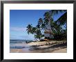 Barbados, West Indies, Caribbean, Central America by Robert Harding Limited Edition Print