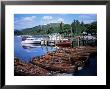 Rowing Boats, Waterhead, Ambleside, Lake Windermere, Lake District, Cumbria by David Hunter Limited Edition Print