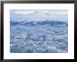 Jokulslarlon Glacial Lagoon, Vatnajokull Icecap, South Area, Iceland, Polar Regions by Simon Harris Limited Edition Print