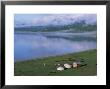 Lake Khovsgol Nuur, Khovsgol, Mongolia, Central Asia by Bruno Morandi Limited Edition Print