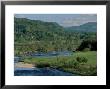 The River Tay Three Miles North Of Dunkeld, Tayside, Scotland, United Kingdom by Adam Woolfitt Limited Edition Print