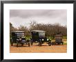 Collection Of Vintage Cars, T Fords, Bodega Bouza Winery, Canelones, Montevideo, Uruguay by Per Karlsson Limited Edition Print