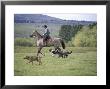 Cowboy In Irrigated Pasture, Chubut Province, Cholila Valley, Argentina by Lin Alder Limited Edition Print