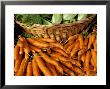Bunches Of Carrots And Lettuce, Ferry Building Farmer's Market, San Fransisco, California, Usa by Inger Hogstrom Limited Edition Print