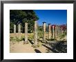 Olympia, Birthplace Of The Olympic Games In 776 Bc, Greece, Europe by Gavin Hellier Limited Edition Print