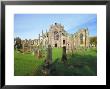 12Th Century Melrose Abbey, Scotland by Pearl Bucknell Limited Edition Print