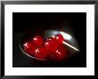 Cocktail Cherries In A Black Bowl by Michael Paul Limited Edition Pricing Art Print