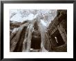 Ta Prohm, Angkor, Cambodia by Walter Bibikow Limited Edition Print