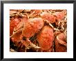 Fresh Crab In Pike Street Market, Seattle, Washington, Usa by Janis Miglavs Limited Edition Print