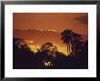 Trees Silhouetted Against The Botswana Sunset by Stuart Westmoreland Limited Edition Print
