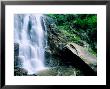 Hickory Nut Falls, Chimney Rock Park, Asheville, North Carolina by Richard Cummins Limited Edition Pricing Art Print