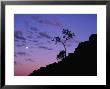 Section Of Larapinta Trail Silhouetted In Evening, West Macdonnell National Park, Australia by Paul Sinclair Limited Edition Print