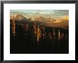 View Of A Range Of The Sierra Nevada Mountains In The Late Day Sun by Phil Schermeister Limited Edition Print