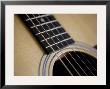 Close View Of A Guitar, Annapolis, Maryland, United States by Taylor S. Kennedy Limited Edition Print